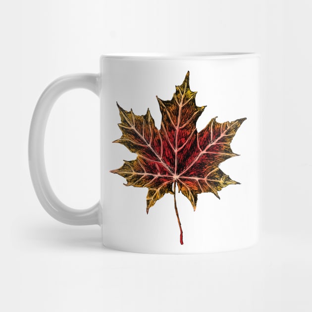 Maple Leaf Art by rachelsfinelines